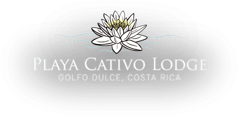 Retreat To Playa Cativo Costa Rica - Playa Cativo Lodge Png