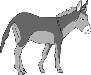 Hd Png Transparent Donkey - Donkey Clipart