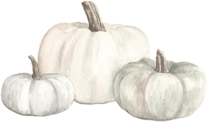 Watercolor White Pumpkins Fall Autumn Png - Transparent Background White Pumpkin