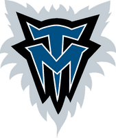 Timberwolves Logo Png Image