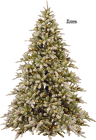 Christmas Tree Png Hd