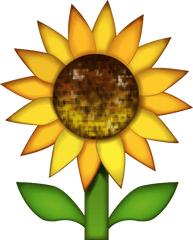 Download Sunflower Emoji Image In Png - Sunflower Emoji Png