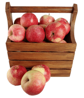 Basket Images Apple Free Photo - Free PNG