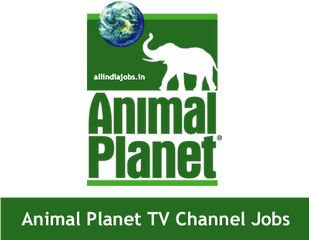 Animal Planet Tv Channel Jobs 2017 - Animal Planet Png