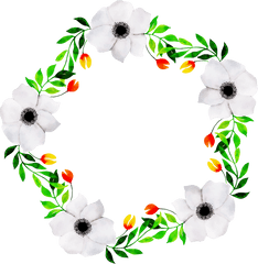 Download Floral Wreath Png Transparent - Uokplrs Picture Frame