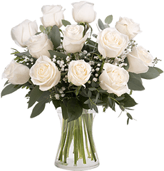 Touch Of Class 12 White Roses - Dozen White Roses Png