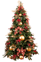 Christmas Happy Free Download Image - Free PNG