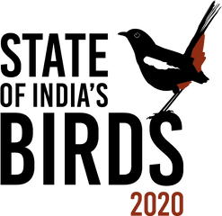 State Of Indiau0027s Birds First Comprehensive Assessment - Illustration Png