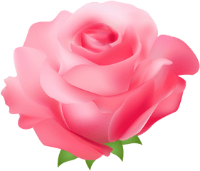 Rose Clipart Pink Picture - Feliz Dia Dela Mujer Png