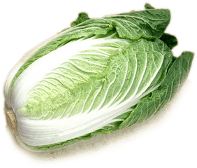 Chinese Cabbage Transparent Background - Chinese Cabbage Transparent Background Png