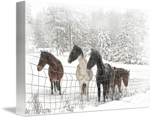 Horses In A Snowy Pasture By J Bentley - Sorrel Png