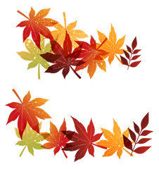 Fall Leaves Transparent - Sticker By Xxxggxxx Decoraciones De Hoja Png