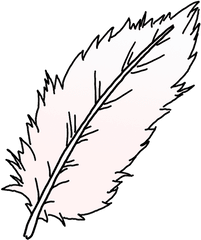 How To Draw A Feather - Draw A Feather Png