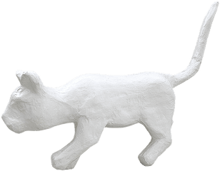 Png White Cat - Free Photo On Pixabay Png En Blanco Animal