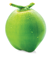 Green Coconut Organic HD Image Free - Free PNG