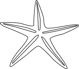 Starfish Outline Clip Art Free Clipart I 1166677 - Png Star Shaped Objects Drawing