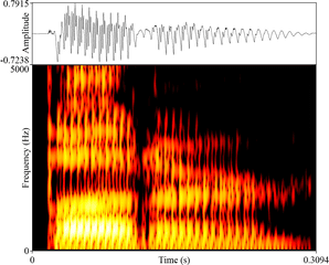 Sound Studies Institute - Plot Png