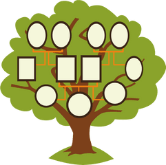 Family Tree Clipart - Tree For Family Tree Clipart Png