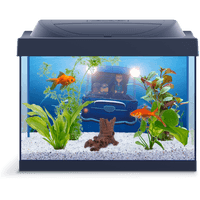 Picture Fish Tank Aquarium Download Free Image - Free PNG