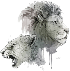 Download Lion Art Png Transparent - Uokplrs Lion And Lioness Drawing