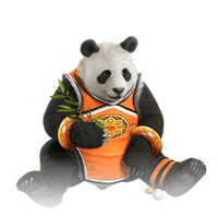 Tekken Panda HQ Image Free - Free PNG
