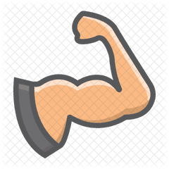 Arm Muscle Icon Of Colored Outline - Gym Muscle Icon Png