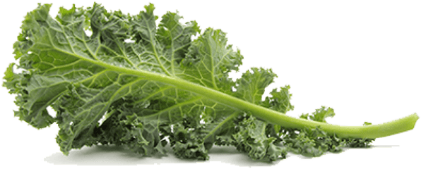 Kale Png Pic Images Transparent - Kale Png