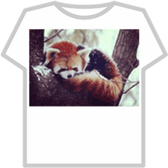 Red Panda Donation - Roblox Pepsi T Shirt Roblox Png