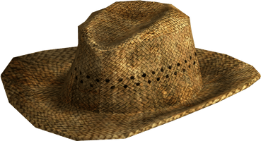 Straw Vector Hat PNG File HD