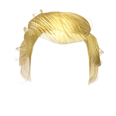 Donald Trump Hair Png Transparent - Donald Trump Hair Transparent