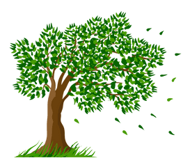 Tree Png - Clipart Background Tree Png