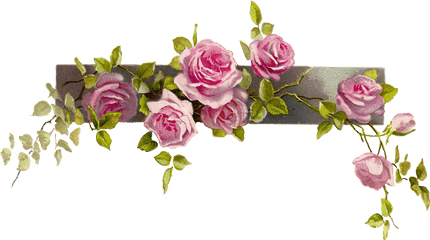 Clipcookdiarynet - Pink Rose Clipart Png Format 25 1600 Vintage Flower Border Png