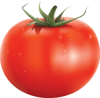 Tomato Png Image