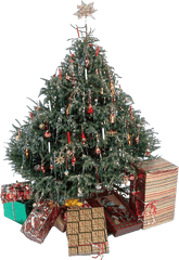 Pin By Bitterrsweet - Christmas Tree - Free PNG