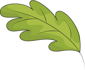 Green Oak Leaf Clipart - Green Fall Leaf Clipart Png