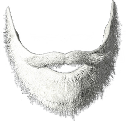 White Beard Png 3 Image - Transparent Background Santa Beard Png