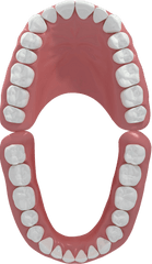 Configure The Best Dental Prosthetic Solution Thommen Medical - Dot Png