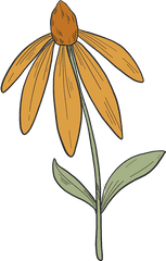 Wildflower Clipart Free Download Transparent Png Creazilla - Lovely