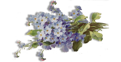 Forget Me Not Free Download - Free PNG