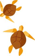 Turtle Clip Art - Loggerhead Sea Turtle Png