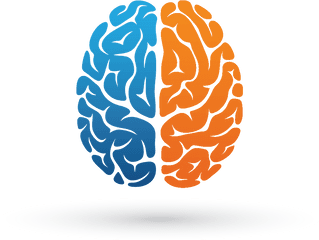 Brain Png - Metastatic Vs Primary Brain Cancer