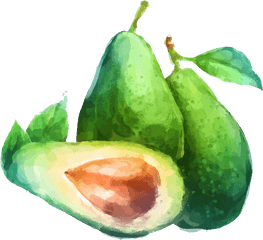 Avacado Png - Watercolor Avocado Png