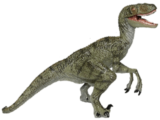 Download Jurassic Park Playfield - Raptor Dinosaur Transparent Background Png