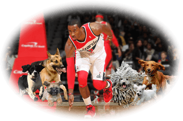 John Wall Washington Wizards - John Wall Hd Png