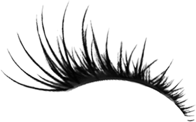 Lashes Lash Eyelashes Eyelash - Transparent Background Eyelash Png