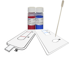 Red Particles Png - Red And Blue Carboxlated Ps Latex Used Laboratory Equipment