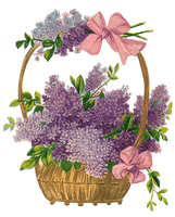 Easter Basket Photo - Free PNG