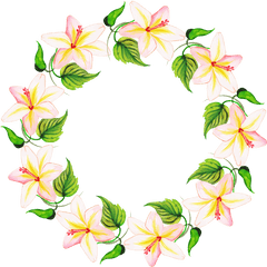 Free Png Watercolor Floral Wreath Flower