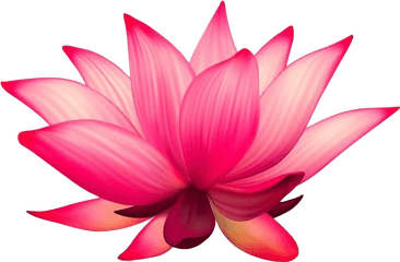 Lotus Transparent - Flower Lotus Png