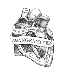 Download Hd Anatomical Heart Tattoo - Antique Medical Antique Medical Illustration Png